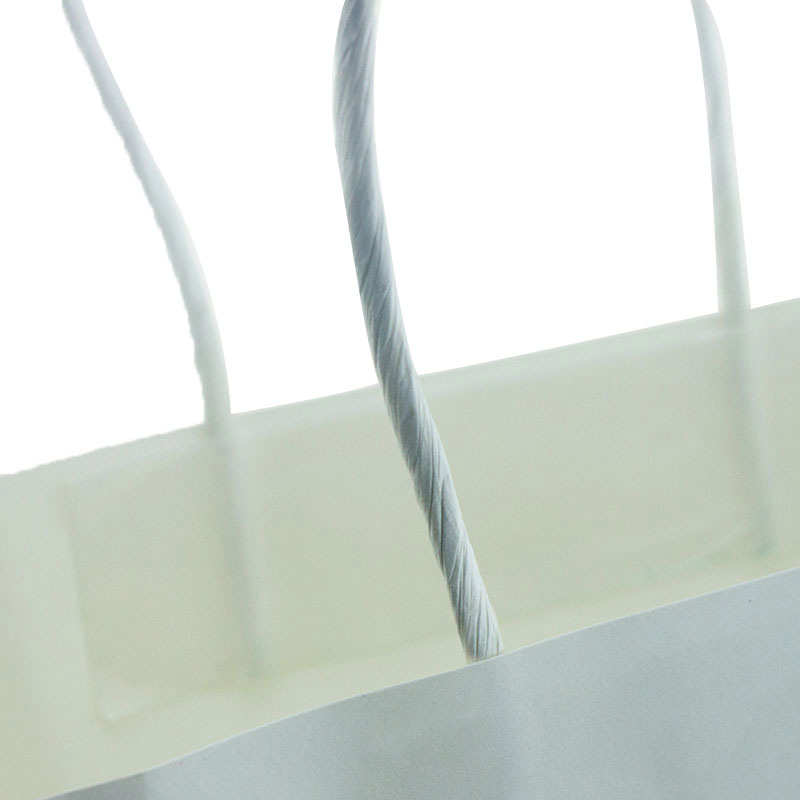 white kraft bagswith double pieces paper cord(4)
