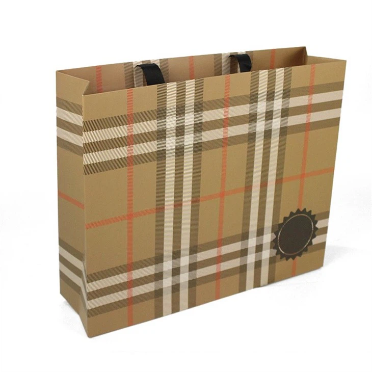 Large Paper Shopping Bags