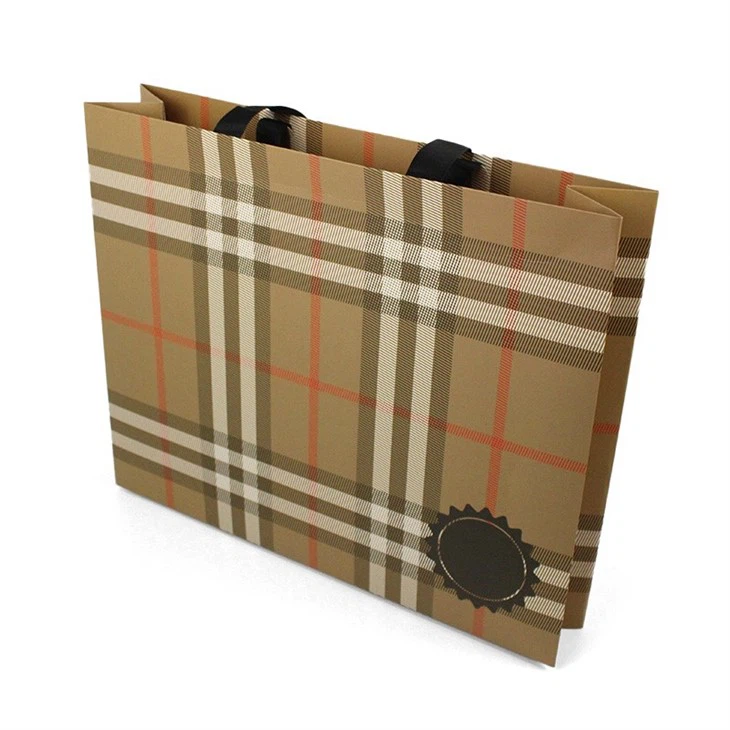 Large Paper Shopping Bags